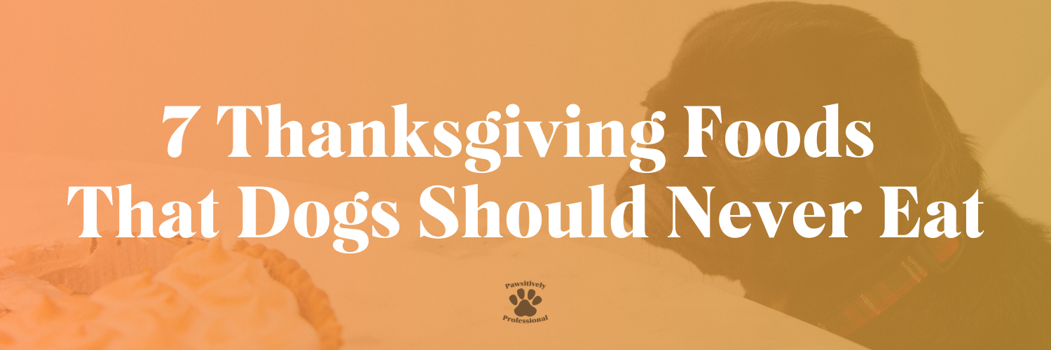 7 Thanksgiving Foods That Dogs Should Never Eat