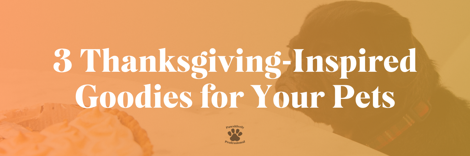 3 Thanksgiving-Inspired Goodies for Your Pets
